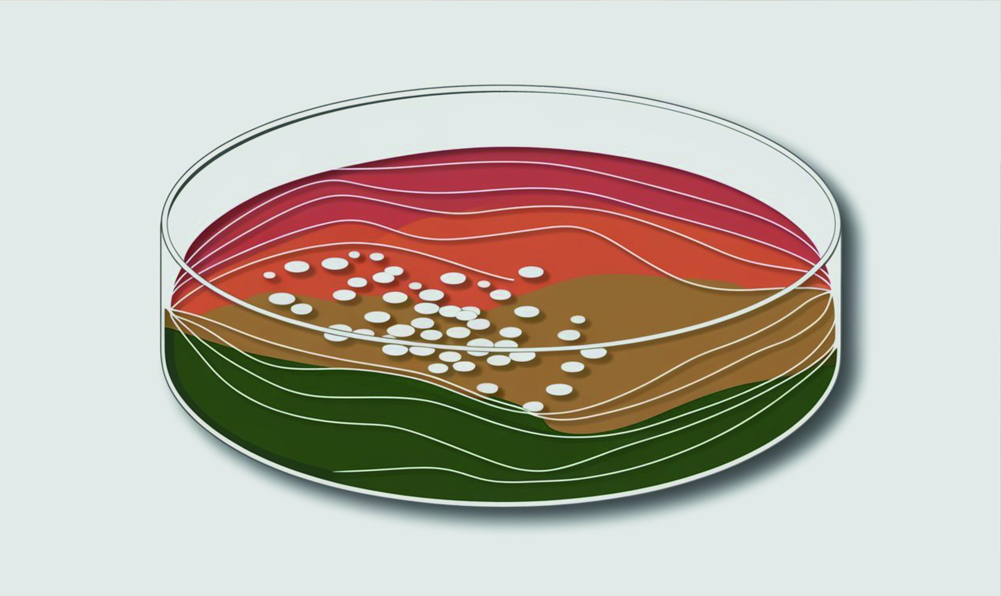 Методы идентификации Malassezia у животных